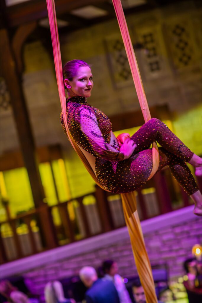 Female aerial silk performer in sparkly costume