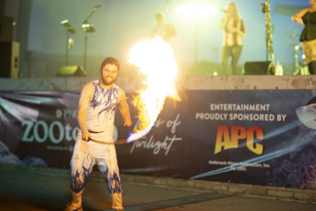 Fire performer breathing flame at outdoor concert