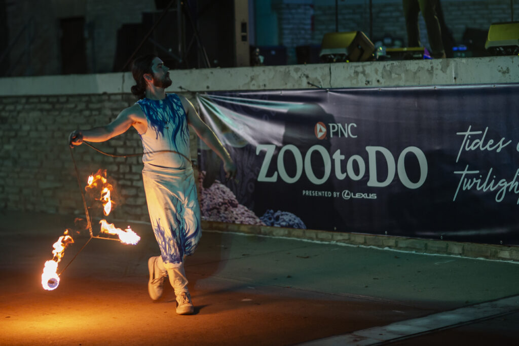 Fire performer spinning flames near zoo banner